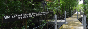 Tanjung Piai National Park Exploration